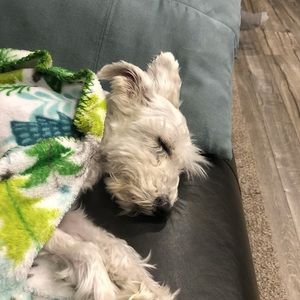 Meet your Posher, Kim